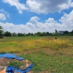 Bán đất Qlo N2 21.100m² Đức Lập Hạ Đức Hòa - Ảnh thu nhỏ 2