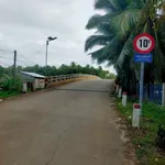Bán 4.700m² đất vườn dừa tại Vĩnh Long - Ảnh thu nhỏ 2