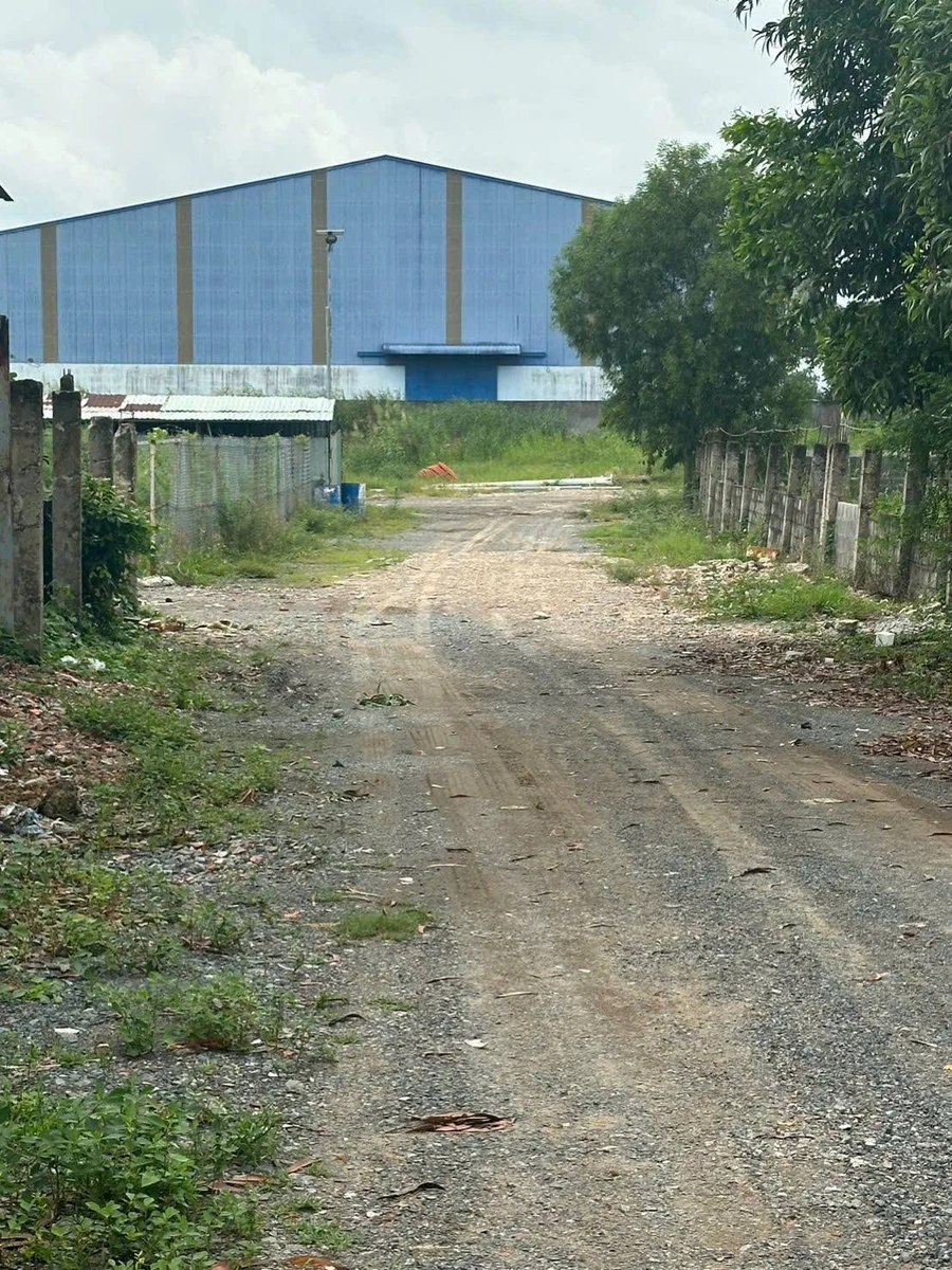 Bán đất SKC 3500m2 có kho 1800m2, Mỹ Yên Long An - Ảnh thu nhỏ 2