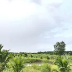 Bán đất vườn rộng 1 sào tại Long Khánh, Đồng Nai - Ảnh thu nhỏ 3