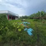 Bán gấp đất 2022m2 có 200m2 thổ cư, Ấp 4 Nhựt Chánh, Bình Chánh, giá 2,3 tỷ - Ảnh thu nhỏ 5