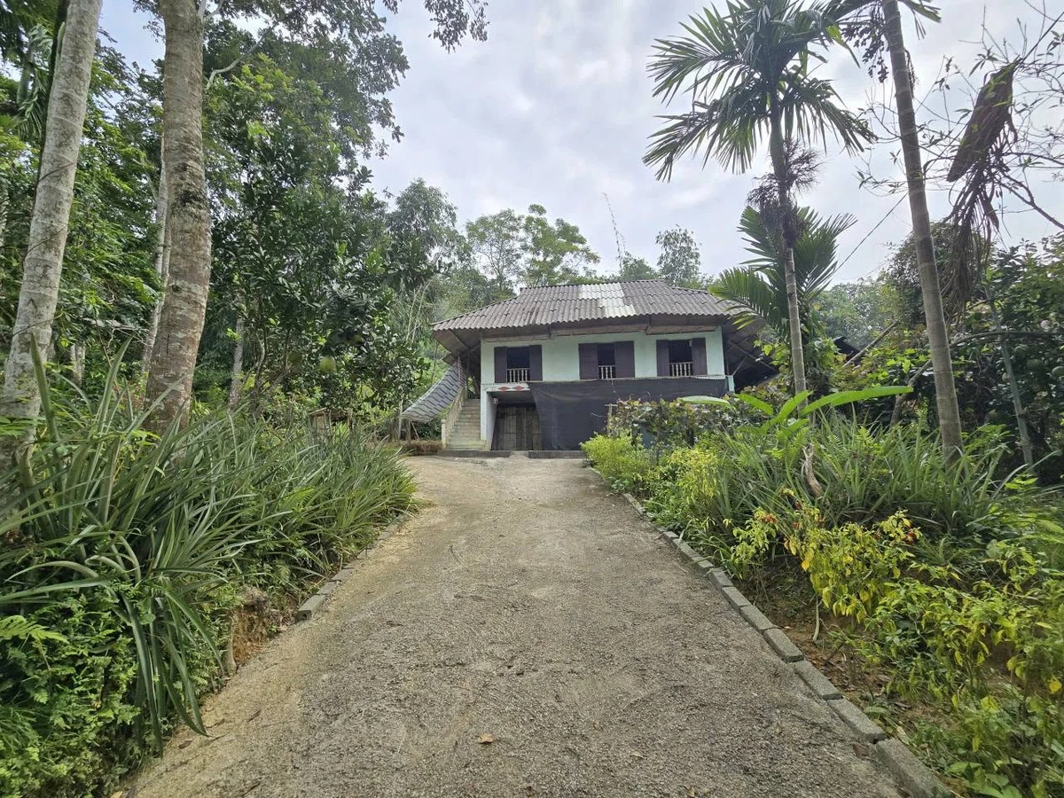 Bán khuôn viên nhà vườn 1400m2 gần suối, có 2 nhà sàn tại Đà Bắc, Hòa Bình - Ảnh thu nhỏ 4