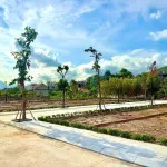 Đất nền giá tốt, thích hợp để ở, cho thuê kinh doanh, lõi trung tâm Hạ Long Xanh - Ảnh thu nhỏ 30