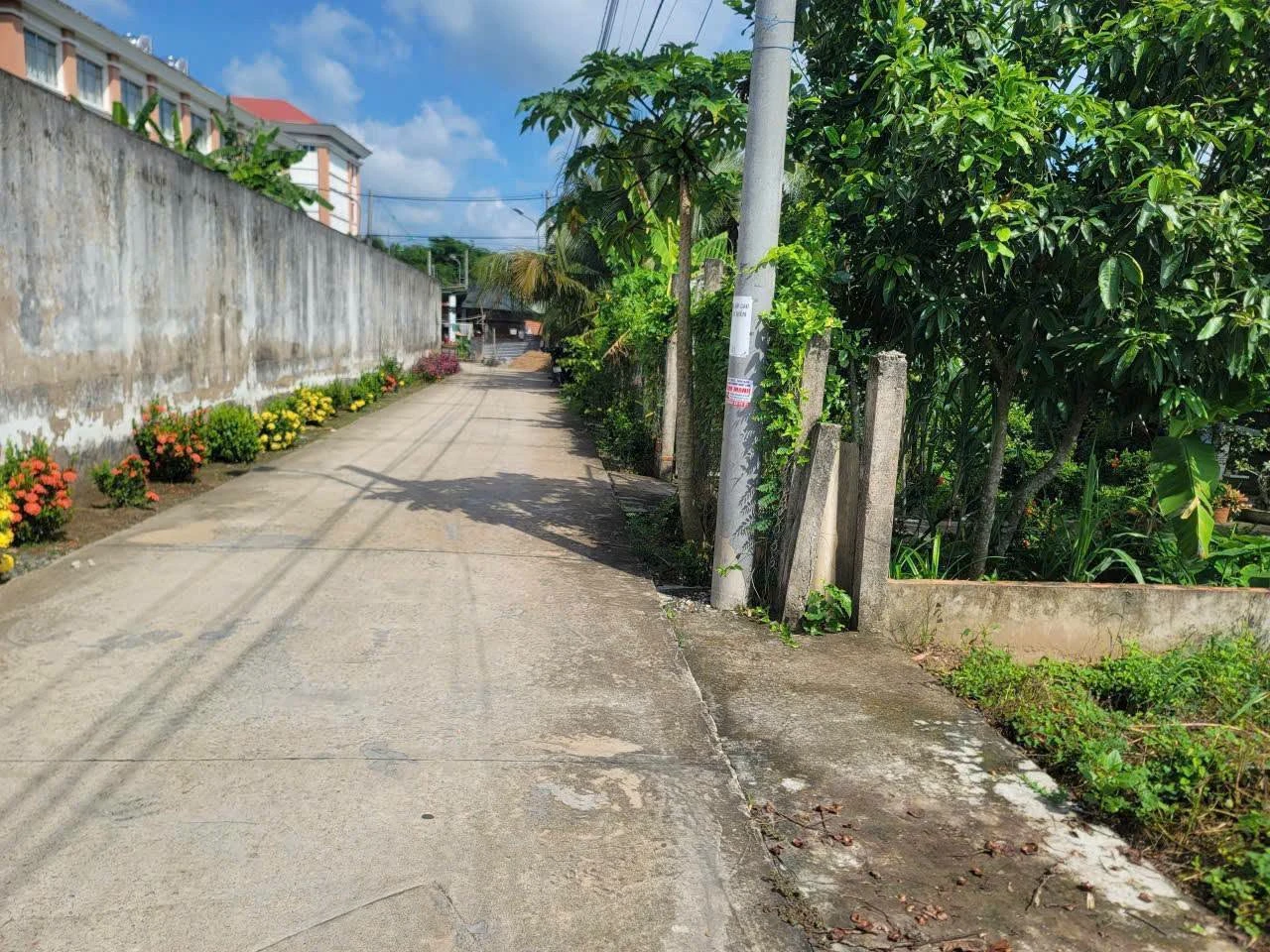 Bán đất 1356m² Mỹ Tho Đồng Tháp 2.6 tỷ - Ảnh 1