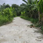 Bán 2 lô đất thổ cư 6x19m gần Tịnh Ấn Tây, Hóc Môn - Ảnh thu nhỏ 2