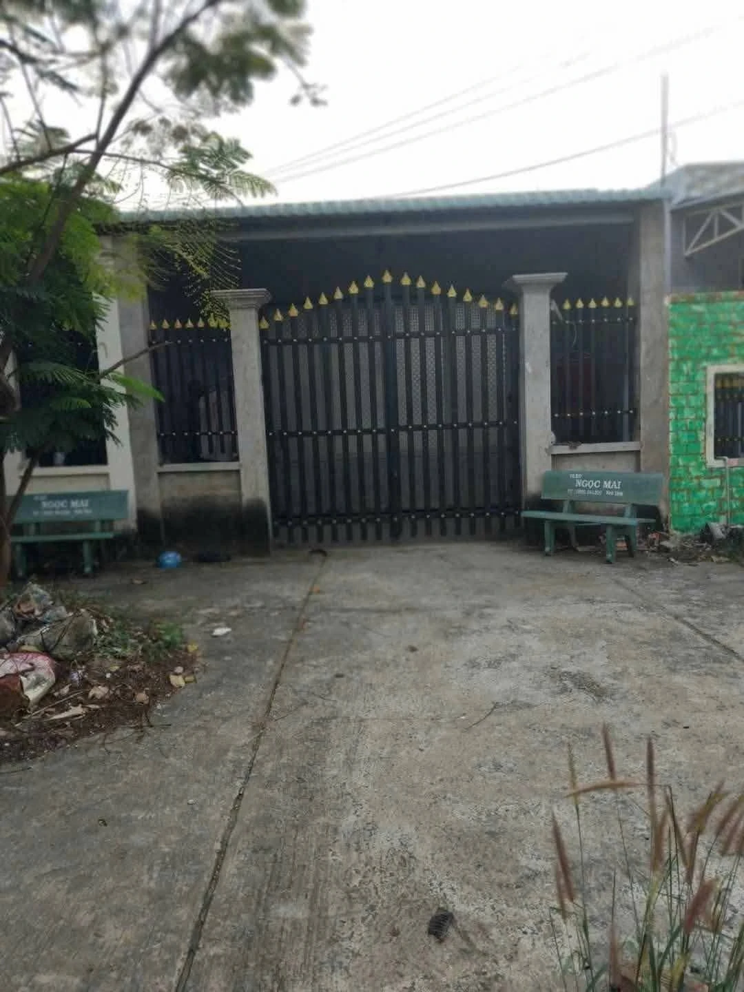 Bán 2 căn nhà liền kề mặt tiền đường số 3 KDC Chợ Mới Long Cang, Cần Đước, Long An - Ảnh 1