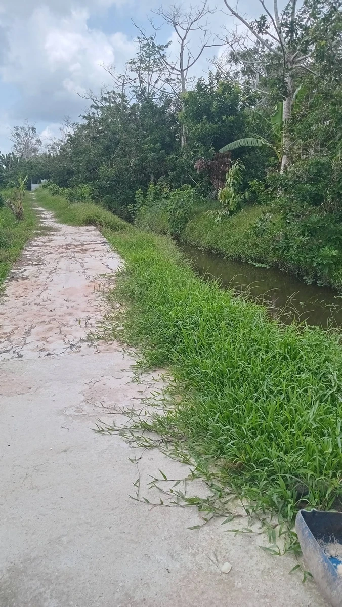Bán đất nền 150m² giá 260 triệu ở Phường Long Tuyền, Cần Thơ - Ảnh thu nhỏ 3