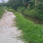 Bán đất nền 150m² giá 260 triệu ở Phường Long Tuyền, Cần Thơ - Ảnh thu nhỏ 3