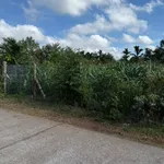 Bán đất 10x29m (290m²) 750 triệu Đắk Lắk - Ảnh thu nhỏ 4