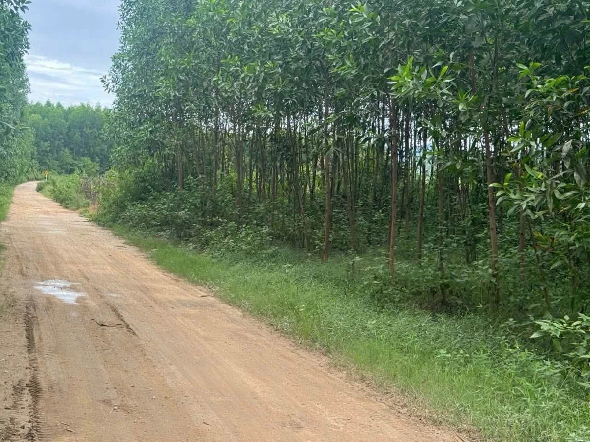 Bán lô đất vườn 7400 m² tại Khánh Hòa - Ảnh thu nhỏ 2