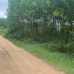 Bán lô đất vườn 7400 m² tại Khánh Hòa - Ảnh thu nhỏ 2