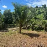 Lô đất 2100m² Suối Tre Long Khánh 1 tỷ 9 - Ảnh thu nhỏ 4