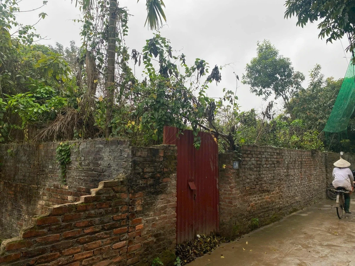 Bán lô đất 434m2 Thanh Lãm Phú Lãm Hà Đông 12tr/m2 - Ảnh thu nhỏ 3