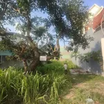 Bán đất Tân Định, Bến Cát 150m, 1,9 tỷ - Ảnh thu nhỏ 2