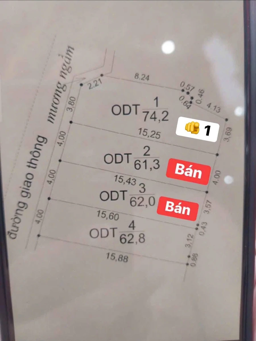 Bán đất 74m2 đường Ngô Trang, Bình Chánh 1 tỷ 6 - Ảnh thu nhỏ 2