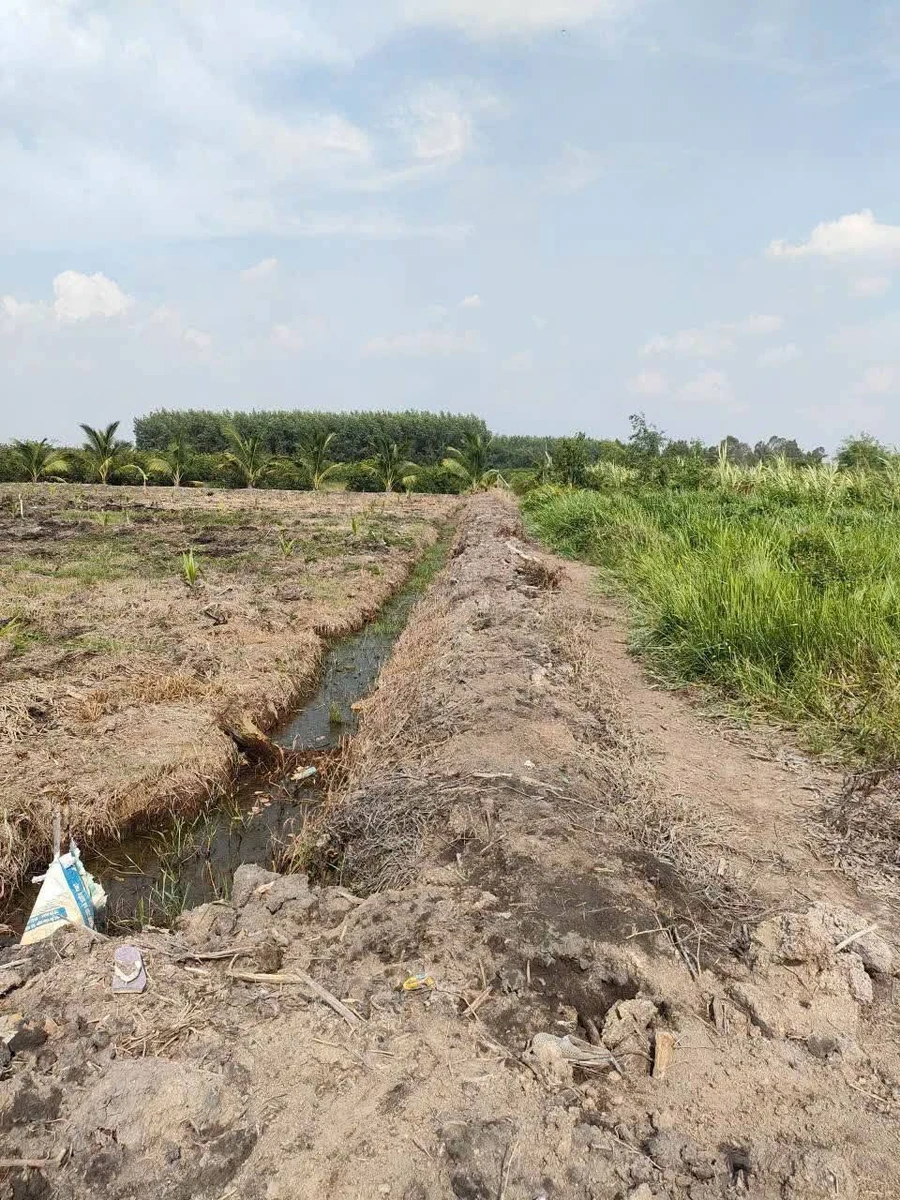 Bán đất lúa 5127m2 giá 3 tỷ 100 triệu Tây Ninh - Ảnh thu nhỏ 5