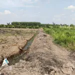 Bán đất lúa 5127m2 giá 3 tỷ 100 triệu Tây Ninh - Ảnh thu nhỏ 5