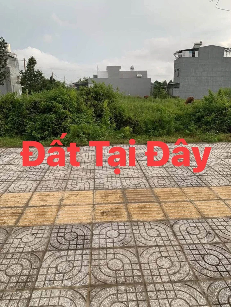 Bán đất Hòa Long Bà Rịa 100m2 giá 2 tỷ 5 - Ảnh thu nhỏ 2