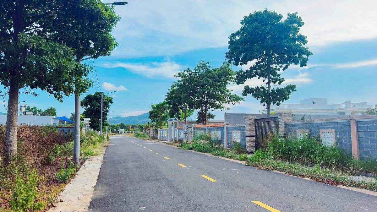 Bán đất 528m² Phước Hải, Bà Rịa - Vũng Tàu 3 tỷ 500 - Ảnh thu nhỏ 2