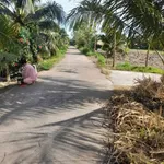 Bán đất 2264m² mặt tiền Phong Nẫm, Nhà Bè, 2 tỷ 2 - Ảnh thu nhỏ 1