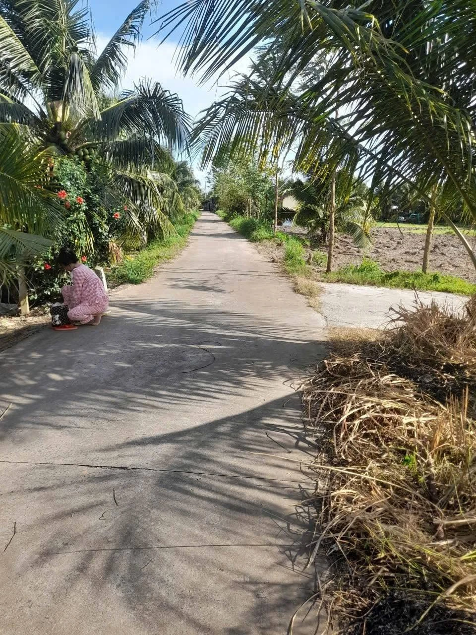 Bán đất 2264m² mặt tiền Phong Nẫm, Nhà Bè, 2 tỷ 2 - Ảnh 1