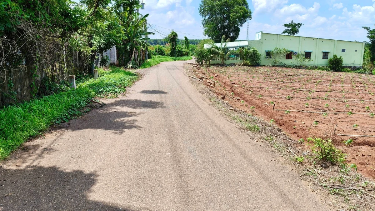 Bán đất 1.400m² đường nhựa Xã Nghĩa Thành, Bà Rịa - Vũng Tàu - Ảnh thu nhỏ 2
