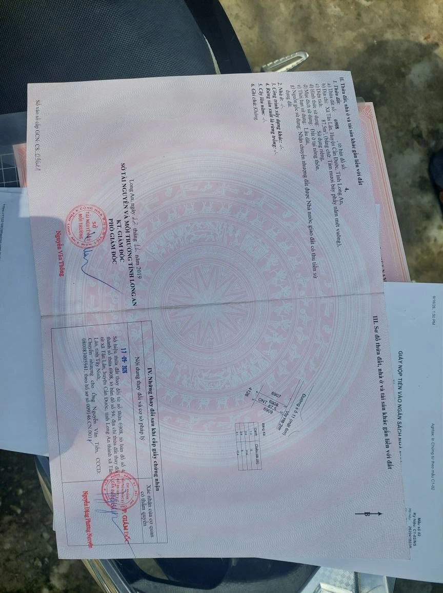 Bán nền đất 87m² thổ cư Tân Lân Nam Phong Cần Dước 790 triệu - Ảnh 1