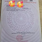Bán lô đất Diên Lạc 60,9m² gần đường Lạc Hoà 590 triệu - Ảnh thu nhỏ 4