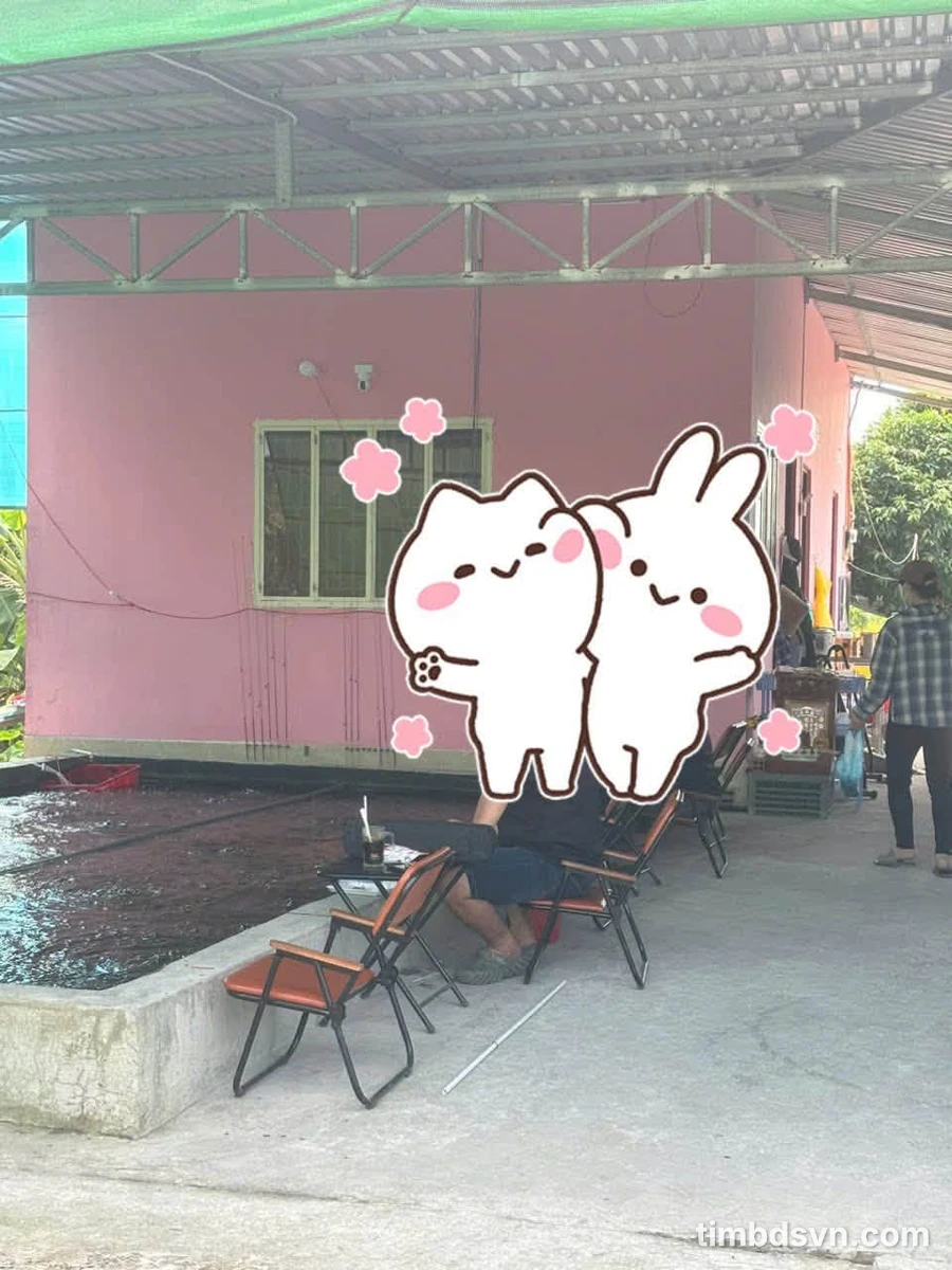 Sang nhượng hồ câu cá + hồ câu tôm Tân Phú 1300m² kinh doanh - Ảnh thu nhỏ 2