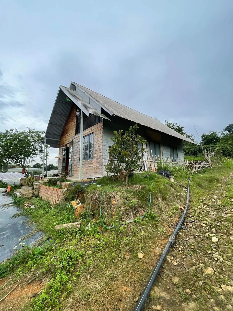 Bán đất 2000m² sổ riêng Lạc Dương Lâm Đồng 3,5 tỷ - Ảnh thu nhỏ 5