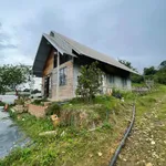 Bán đất 2000m² sổ riêng Lạc Dương Lâm Đồng 3,5 tỷ - Ảnh thu nhỏ 5