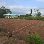Bán đất nền thổ cư 5x28m (140m2) tại Xuân Đông, Đồng Nai giá 440 triệu - Ảnh thu nhỏ 2