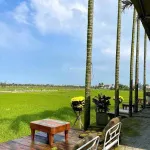Hàng hiếm, view lúa mặt tiền Lê Thánh Tông, đất nở hậu, vị trí đẹp trong khu vực - Ảnh thu nhỏ 6