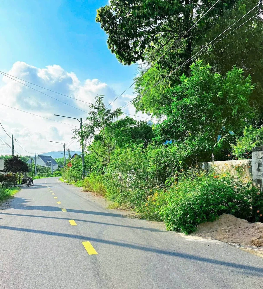 Bán đất 211m2 Phước Hải Khánh Hòa 1 tỷ 980 - Ảnh thu nhỏ 4