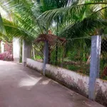 Bán 4.700m² đất vườn dừa tại Vĩnh Long - Ảnh thu nhỏ 4