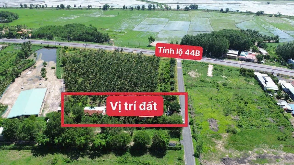 Bán đất 1585m2 mặt tiền Tỉnh Lộ 44B, Phước Hải, BRVT - Ảnh thu nhỏ 5