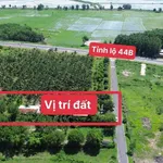 Bán đất 1585m2 mặt tiền Tỉnh Lộ 44B, Phước Hải, BRVT - Ảnh thu nhỏ 5