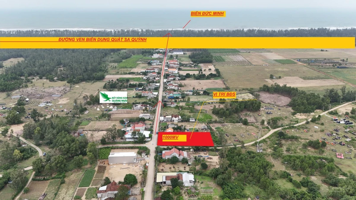 Bán đất biển Đức Minh Mộ Đức, vườn 1000m2 200m2 TC, cách biển chưa đến 1km, 3 tỷ thương lượng - Ảnh thu nhỏ 2