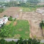 Bán đất tại Mặt tiền đường huyện 98c hẻm 3, 520 triệu, 200m2 chỉ với giá tốt - Ảnh thu nhỏ 8
