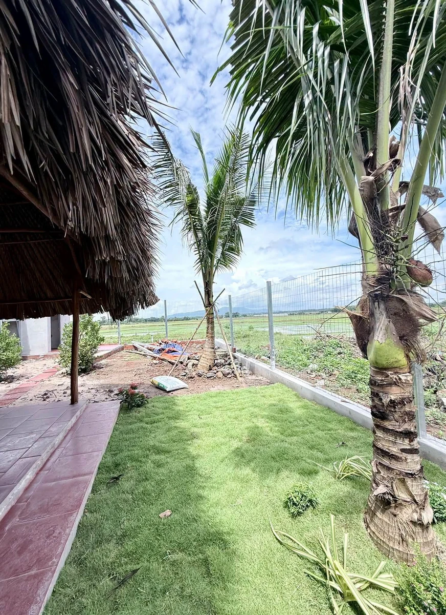Bán đất mặt tiền Tỉnh lộ 52, 365m², ngang 8m, giá 2,7 tỷ, Xã Đất Đỏ - Ảnh thu nhỏ 5