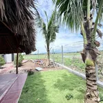 Bán đất mặt tiền Tỉnh lộ 52, 365m², ngang 8m, giá 2,7 tỷ, Xã Đất Đỏ - Ảnh thu nhỏ 5