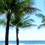 Bán lô đất 3 mặt tiền 236m2 Chính Hữu Đà Nẵng - Ảnh thu nhỏ 5