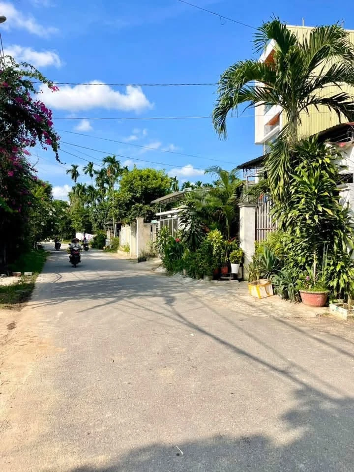 Bán lô đất mặt tiền Hoàng Hoa Thám 146m2, Tân Bình - Ảnh thu nhỏ 3