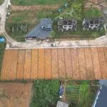 Bán đất nền 120m² Nhuận Trạch Hòa Bình gần KCN, giá 1 tỷ - Ảnh thu nhỏ 3