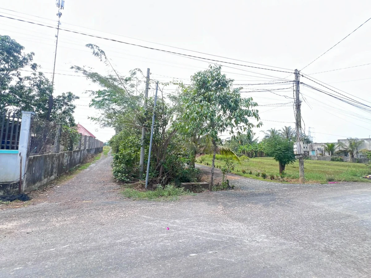 Bán đất thổ cư 5x41m sổ hồng riêng đường Số 4 Bình Lợi Hòa Khánh giá 650 triệu - Ảnh thu nhỏ 2