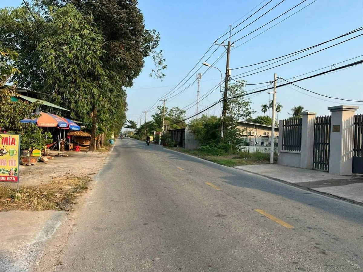 Bán đất 300m2 gần 790 triệu Trảng Bàng Tây Ninh - Ảnh 1