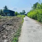 Bán đất thổ cư mặt tiền Đỗ Văn Đảnh 397,5m² Bình Chánh - Ảnh thu nhỏ 1