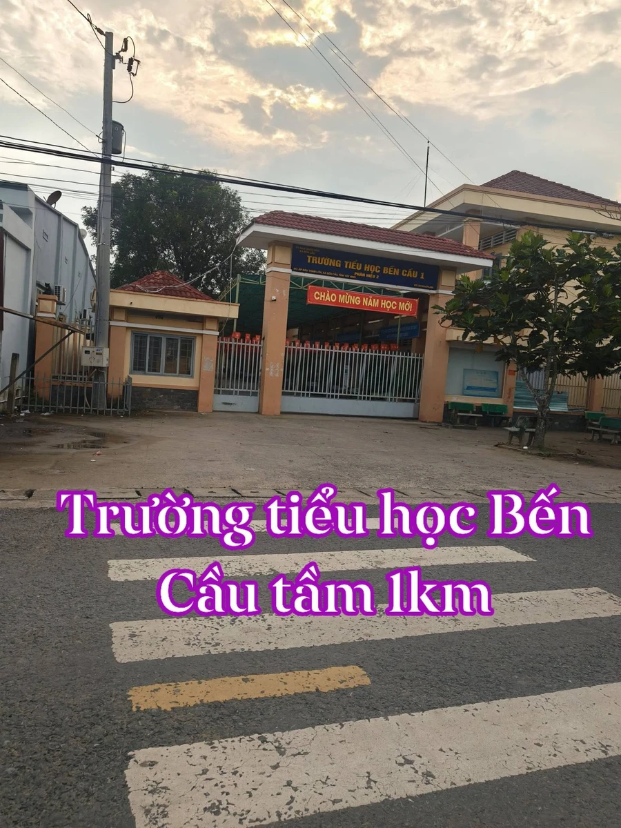 Bán đất Tây Ninh 258–283m² giá 225 triệu sổ cứu - Ảnh thu nhỏ 4