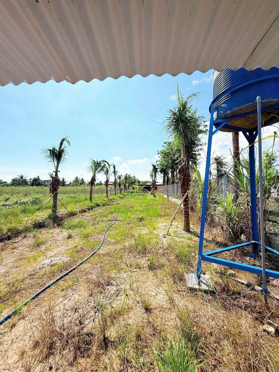 Bán khu nghỉ dưỡng 682m2 có sẵn nhà gỗ, vườn dừa, ao cá tại Phường Tân Ninh, Tây Ninh - Ảnh thu nhỏ 5