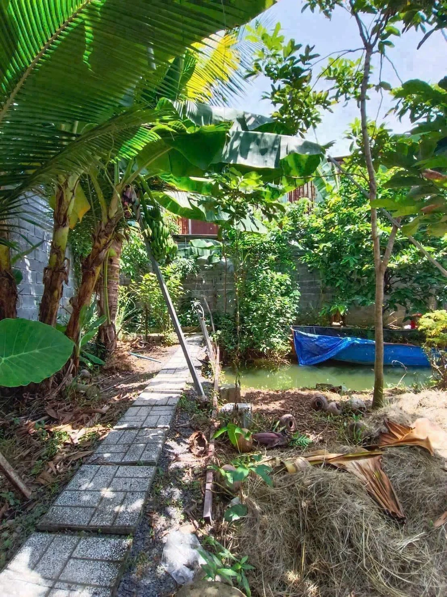 Bán nhà vườn 620m² Phường Bửu Long, giá 3 tỷ - Ảnh thu nhỏ 3